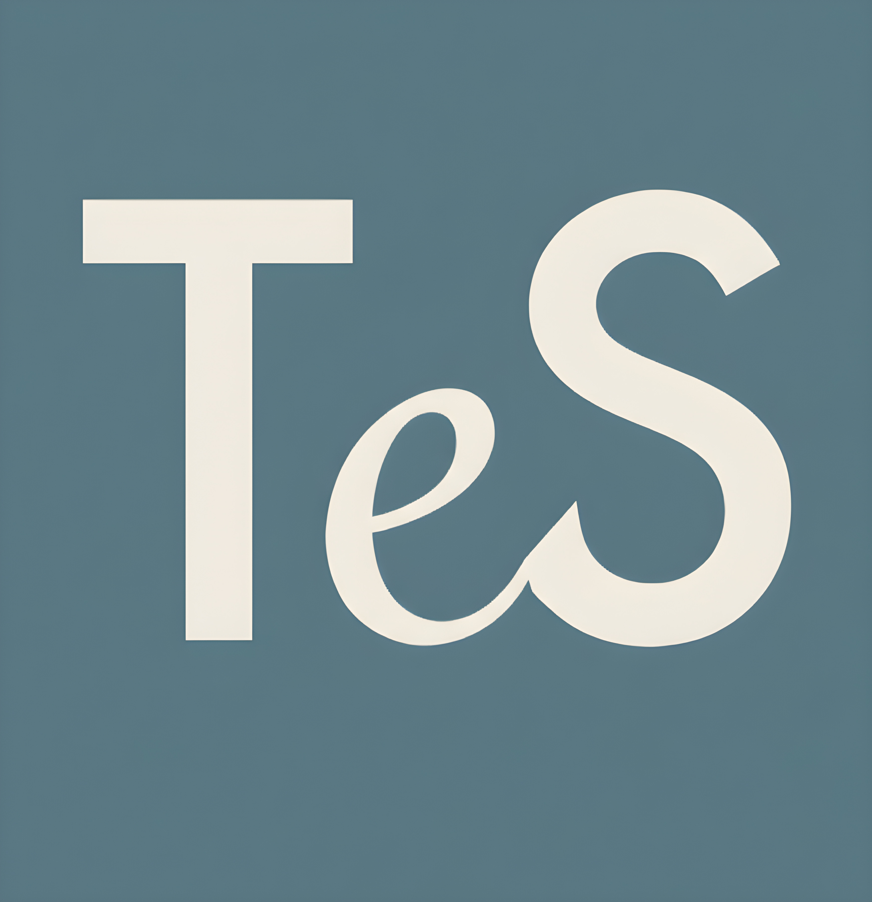 Logo Telematica E Servizi